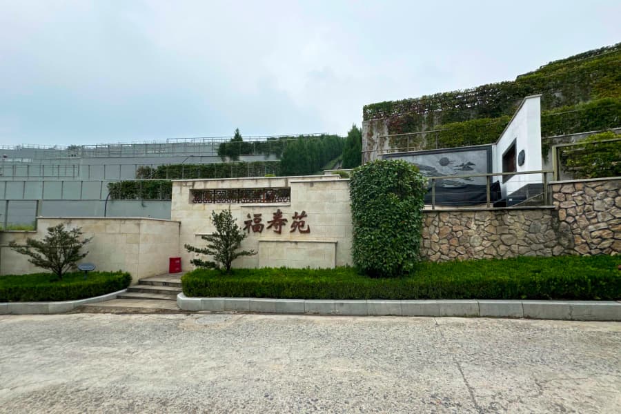 实拍景观