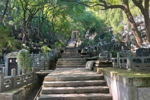墓区环境图