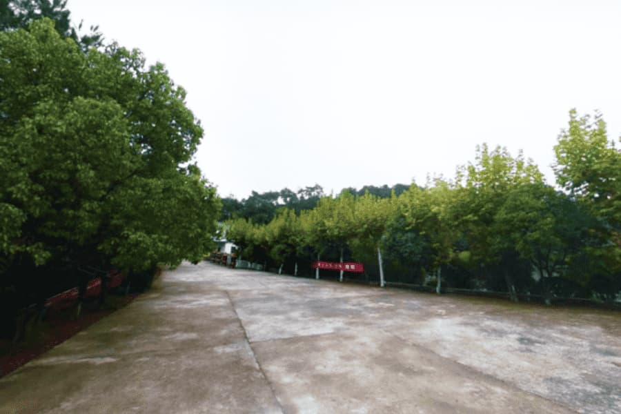 请问杭州的公墓价格是否会有季节性的折扣？