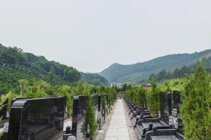 墓区环境图