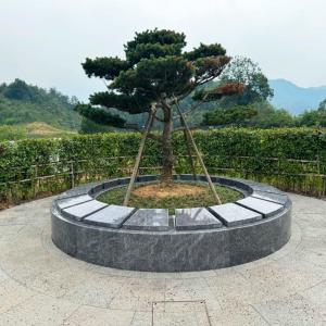 墓型1号
